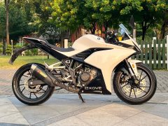 Kayo 250RR Thornbird - ფოტო 4