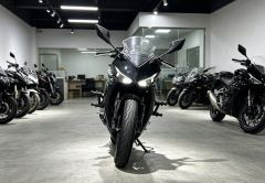Kayo 250RR Thornbird - ფოტო 2