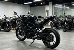 Kayo 250RR Thornbird - ფოტო 3