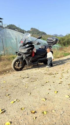 Voge SR4 Max 350 cc - ფოტო 1