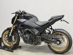 QJMOTOR Chaser 550 - ფოტო 6
