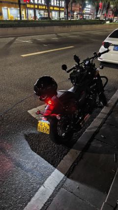 Cyclone RA250 - ფოტო 2