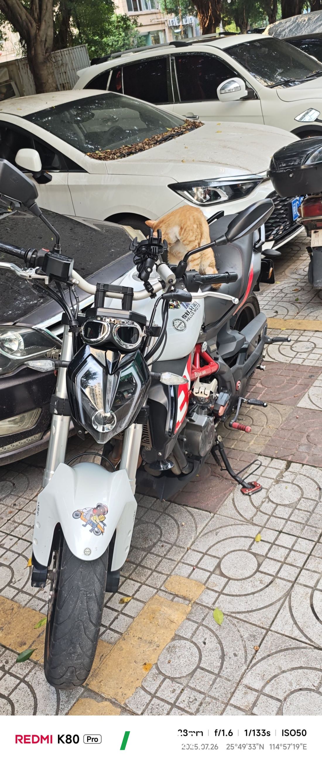 Benelli TNT 300 / BN 302S - მოტოციკლი ჩინეთიდან