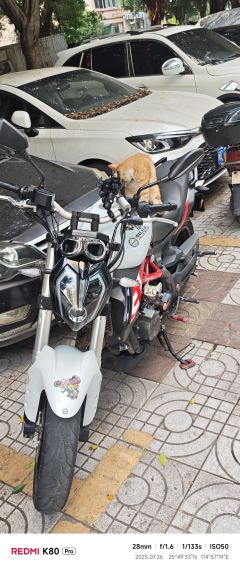 Benelli TNT 300 / BN 302S - ფოტო 1