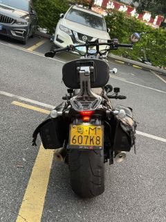 Leike RX7 650 cc - фото 11