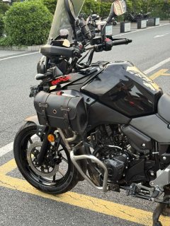 Haojue Suzuki DL250 - фото 9