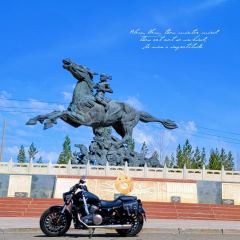Benda Polestones 03 Gray 300 cc - ფოტო 3