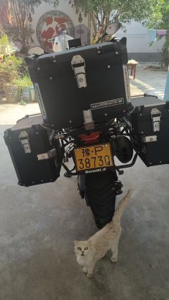 Benelli TRK552 550 cc - ფოტო 2