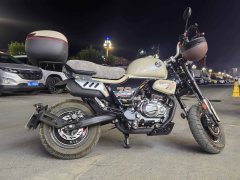 Zongshen Little Bear 150 cc - ფოტო 2