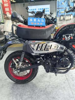 Stoner Monkey 125 cc - photo 2