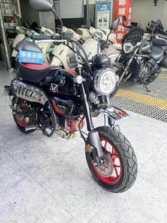 Stoner Monkey 125 cc - photo 3