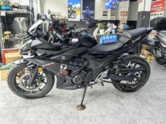 Haojue Suzuki GSX250R - ფოტო 6