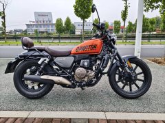 QJMOTOR 250 - photo 5