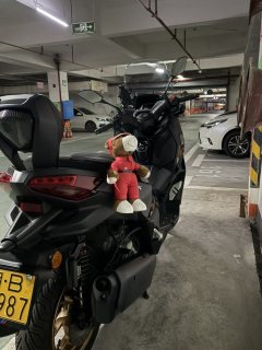 Yamaha XMAX 300 cc - ფოტო 2