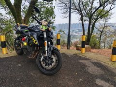 Benelli TNT600i - ფოტო 4