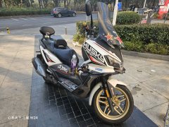 SYM Husky ADV300 - ფოტო 2