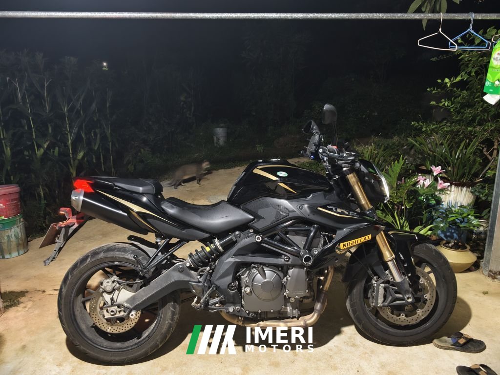 2024 Benelli TNT600i