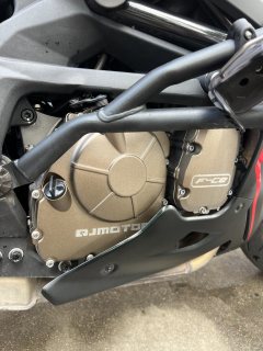 QJMOTOR Sai 600 - photo 4