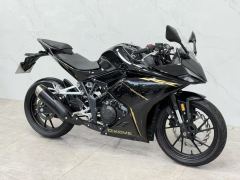 Kayo 250RR Thornbird - ფოტო 1
