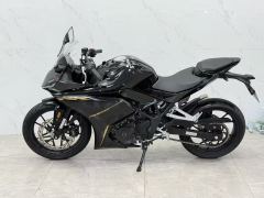 Kayo 250RR Thornbird - ფოტო 3