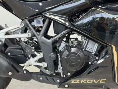 Kayo 250RR Thornbird - ფოტო 8