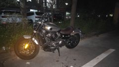 Benda Chinchilla 250 - photo 3