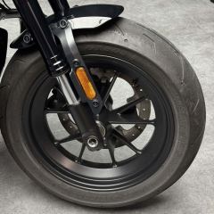 Harley-Davidson Sportster S 1250 cc - photo 10