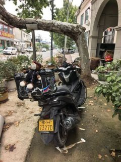 Cyclone RT250 - ფოტო 2