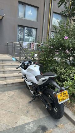 QJMOTOR SRK 250 - ფოტო 2