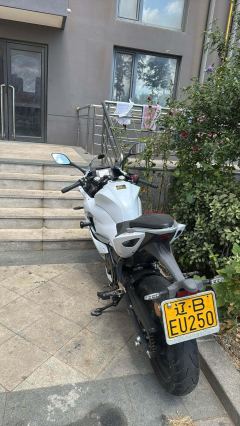 QJMOTOR SRK 250 - ფოტო 3