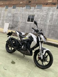 Benelli Xunlong BN150S - ფოტო 4