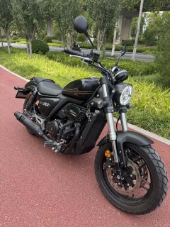 Cyclone RA401 400 cc - ფოტო 1