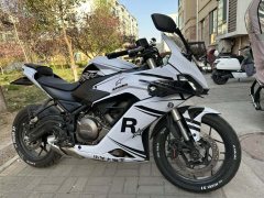 QJMOTOR SRK 250 - ფოტო 3