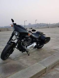 Harley-Davidson Sport Glide 1745 cc - ფოტო 2