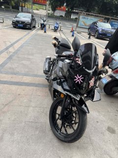 Haojue Suzuki GSX250R - photo 2
