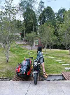 Stoner Monkey 125 Sidecar - photo 2