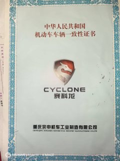 Cyclone RA2 250 cc - ფოტო 5