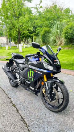 Yamaha YZF-R3 320 cc - фото 1