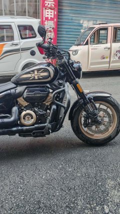 Voge CU250 - ფოტო 5