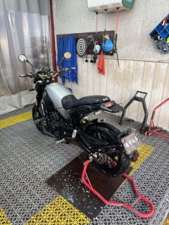 Benelli Lion Cub Leoncino 500 - ფოტო 2