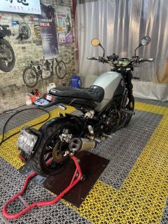 Benelli Lion Cub Leoncino 500 - ფოტო 4