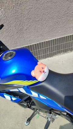 Haojue Suzuki GSX250R - ფოტო 4
