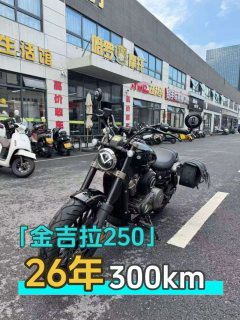 Benda Chinchilla 250 - photo 1