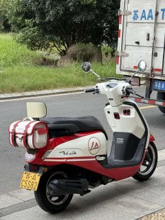 Sundiro Honda NS125LA - photo 7