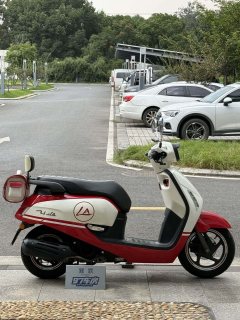 Sundiro Honda NS125LA - photo 9