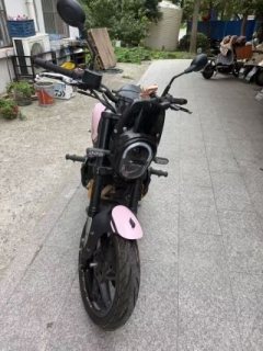 Benelli Leoncino 150 - ფოტო 5