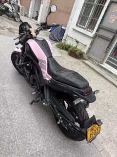 Benelli Leoncino 150 - ფოტო 6