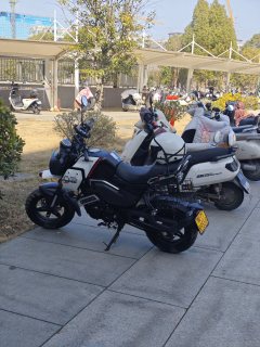 CFMOTO Papio XO-1 125 cc - ფოტო 3