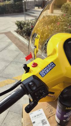 Sundiro Honda NS150LA - фото 6