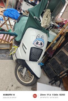 Nanfnag Monica Lisa Feigo 150 cc - ფოტო 4